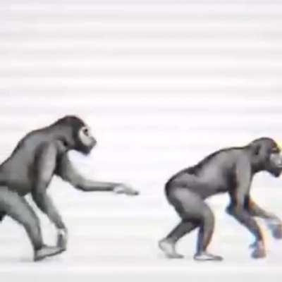 Primates nazis