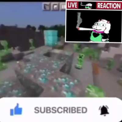 Ralsei if he played minecraft