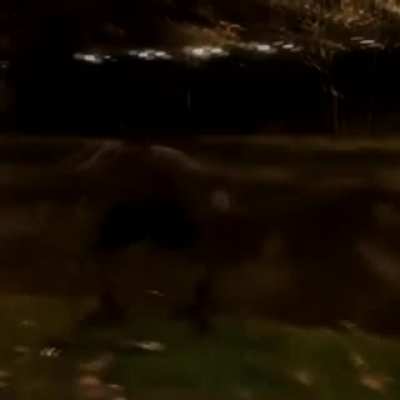 the bloodstarved beast is now free to roam this realm