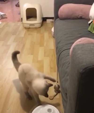 GET IT OFF!!! (u/cyan1618)