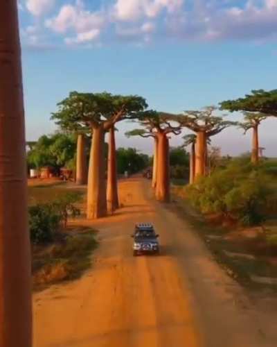 Madagascar