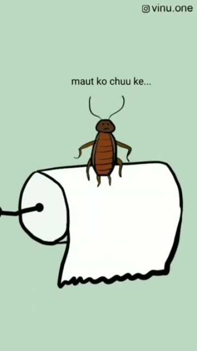 Cockroach