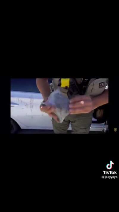 Cops can have a sense of humor as well