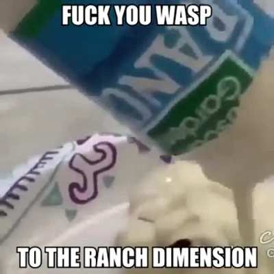 funny title