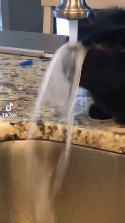 This water is so fresh!