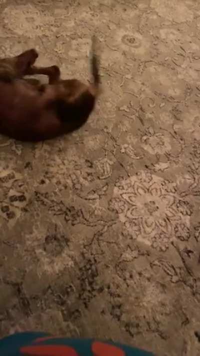 We call this the &ldquo;cashew dance&rdquo;