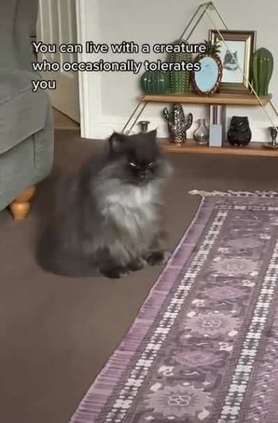 It&rsquo;s So Fluffy!!