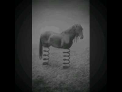 Ferd