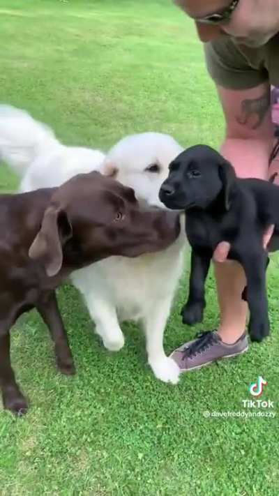 When 2 became 3