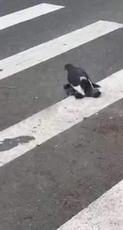 Hmm