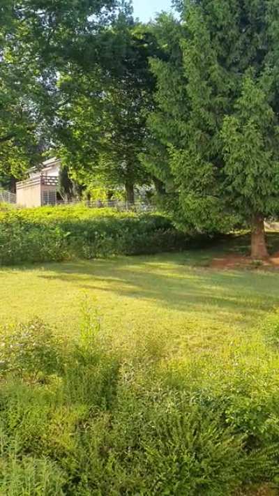 Kann mir jemand sagen welcher Piepmatz sich hier in meinem Garten auf das Nature One vorbereitet?