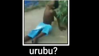 Urubu?