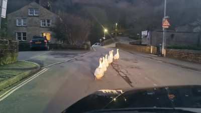 Classic Hebden Bridge