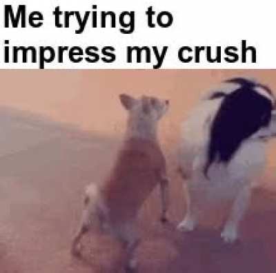 I'm a dirty dancer