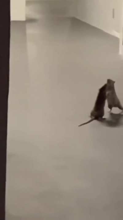 Maybe maybe maybe