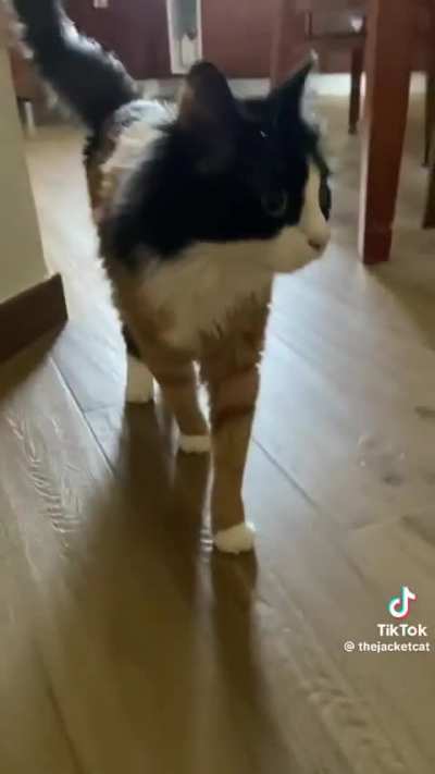 W&hellip;Wunkus?