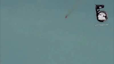 Anṣār Bayt al-Maqdis jihadist shoots down an Egyptian military helicopter with a MANPAD - Sinai Peninsula, Egypt (Jan 2014)