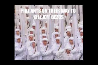 ants will use their cooperation skills to kill jeff bezos😁😁😁😁😁😁😁😁