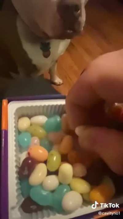 Beanboozled