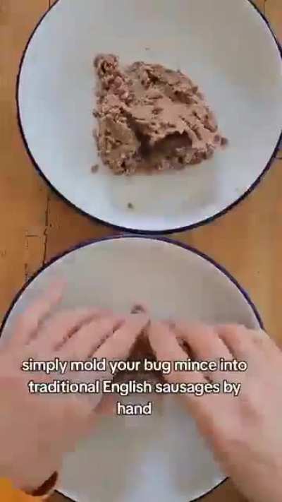 EAT THE BUGS EAT THE BUGS EAT THE BUGS