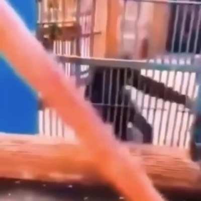 Monke yoink