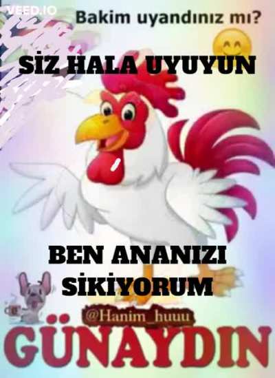 G&Uuml;NAYDIN KEYCİBİ HULKİ