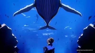 P5X opening has been revealed