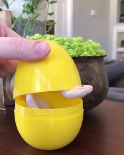 Thnek