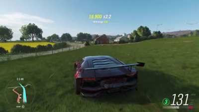 I hit a sheep...