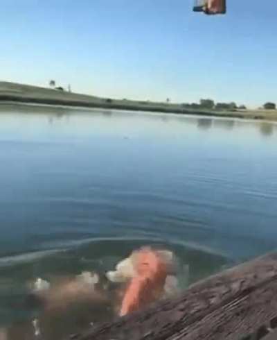 Ahhh, just what the fish ordered