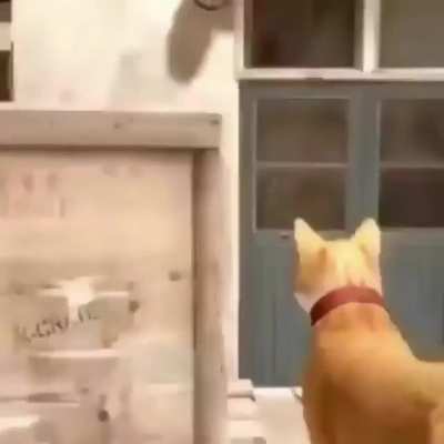 awww