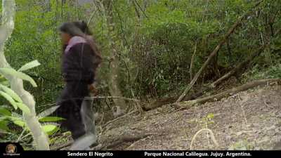 Variedad de especies y personas comparten el mismo sendero en Mesada de Las Colmenas