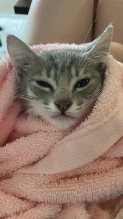 Kitty purrito is mad that she had to take a bath, but that&rsquo;s what happens when you sleep in your kitty litter.