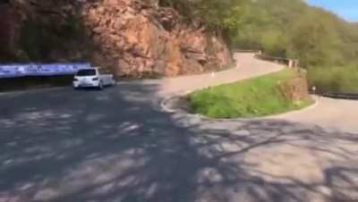 WRC World Champion