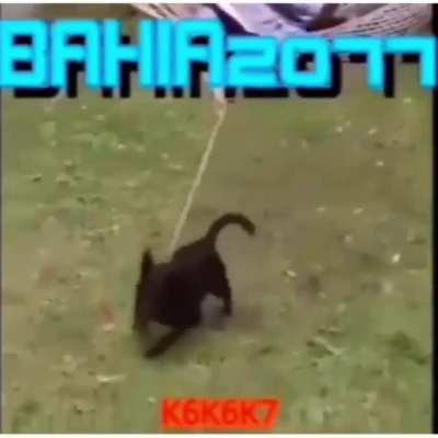 Bem vindo a Bahia