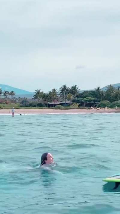 Vacation booty