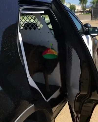 Police dogs stay away