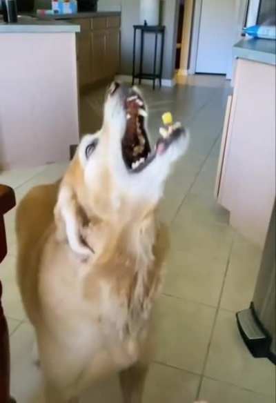 Such a goofball
