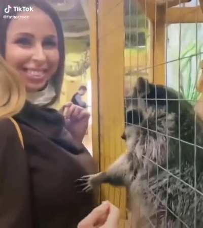 New Rocket Raccoon movie looks lit