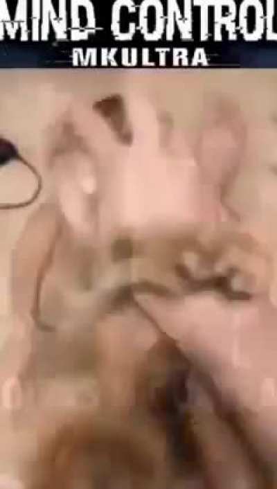 MKULTRA is real 