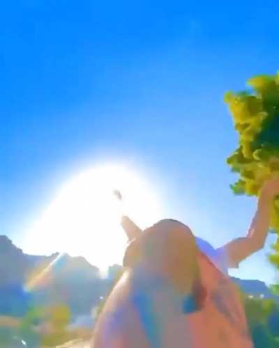 Stick a phone on a feet and flip