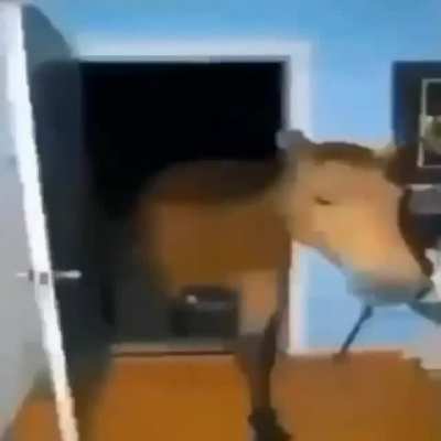 GUYS THIS IS SO SAD 😞😢😢 😛🥺😍🤨😟😨😚😍😛😨🤓🤯🤯🤩🤯🤬🤬🤓🤬😢
