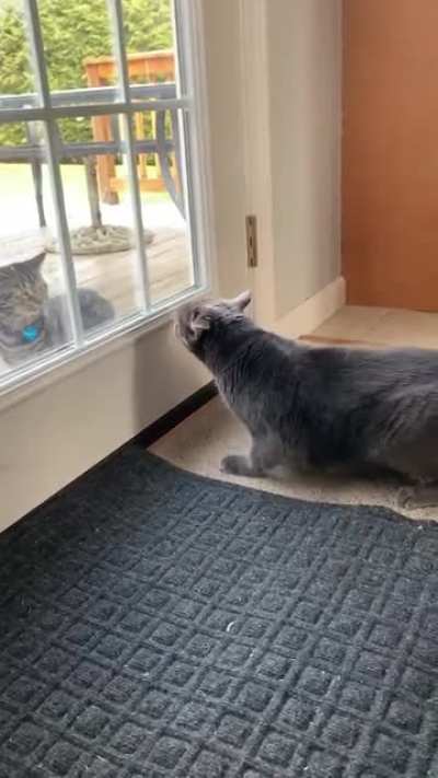 We don&rsquo;t like visitors here 🙅🏻&zwj;♀️