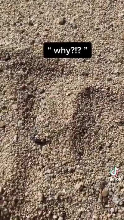 HEEEEEE
