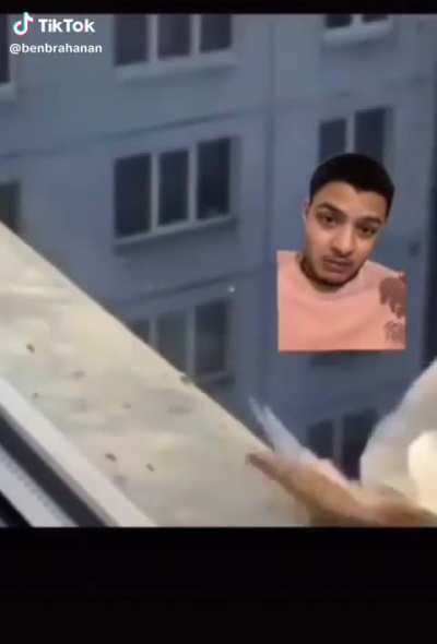 Pek&acirc;l&acirc; pek&acirc;l&acirc;