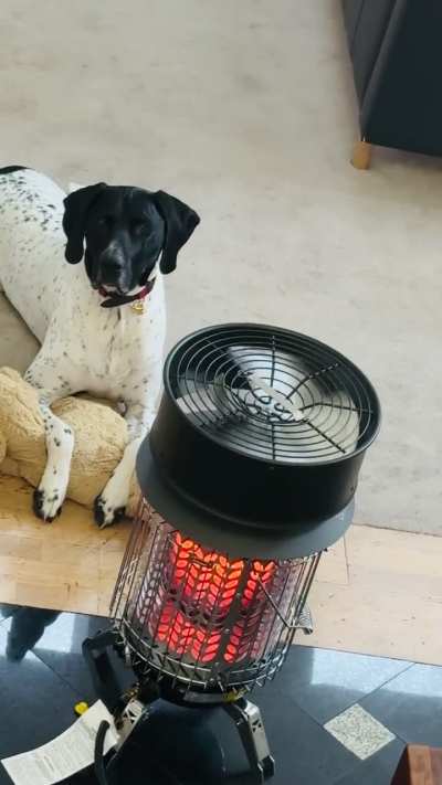 Boiler died on a rainy Sunday. Tech said "Tomorrow". My GSP said "Improvise, Dad." I think he approves of the backup plan. 😂