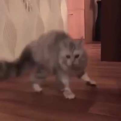 What the fluff!?!