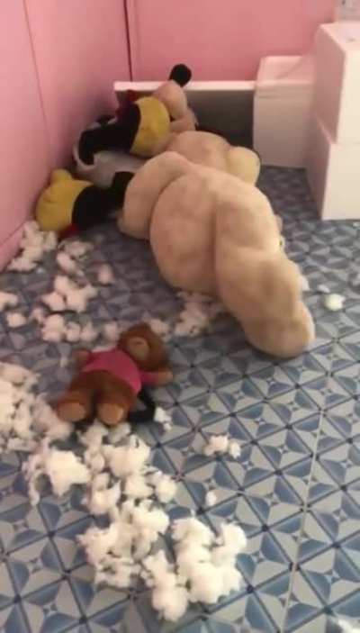 bEAR BEINg RIPpED AParT ON tHE iNsiDe