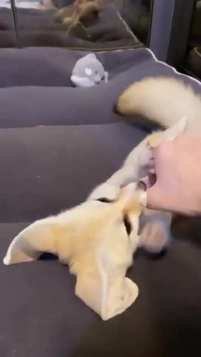 😃