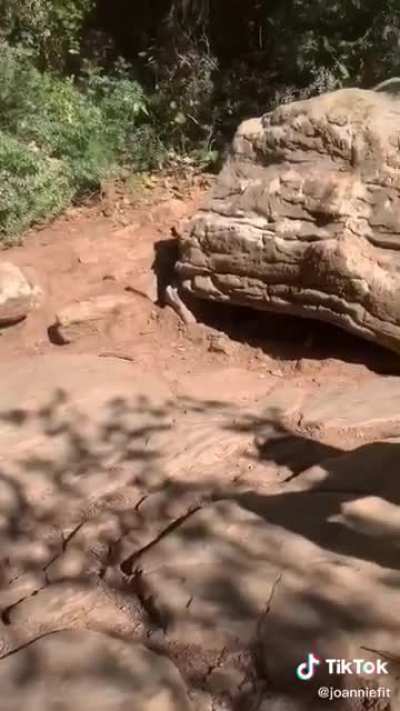 Nice view...watch until the end